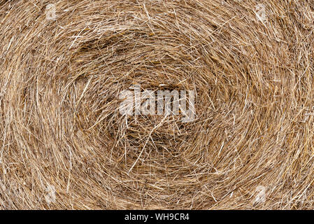 Close up of hay bale after harvest. Full frame Stock Photo