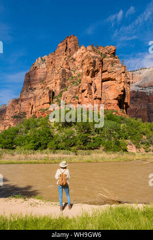 Angels Landing and the Virgin River from in Zion Canyon, Zion National Park, Utah, United States of America, North America Stock Photo