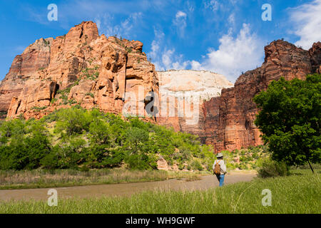 Angels Landing and the Virgin River from in Zion Canyon, Zion National Park, Utah, United States of America, North America Stock Photo