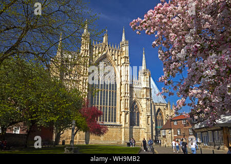 The east front of York Minster seen from St. William's College, York, North Yorkshire, England, United Kingdom, Europe Stock Photo