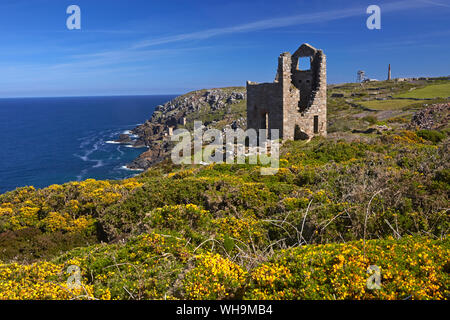 Wheal Owles tin mining engine house near Botallack, Cornwall, England, United Kingdom, Europe Stock Photo