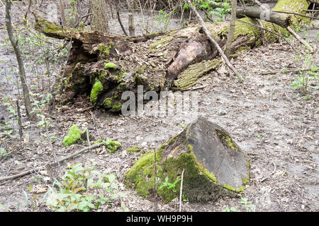 Seven Mile Creek County Park, Minnesota Stock Photo