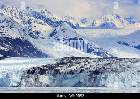 Harvard Glacier in College Fjord, Southeast Alaska, United States of America, North America Stock Photo