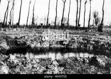 WW1: Northern France: Le Plantin, Festubert, March 1915. Large shell crater. Stock Photo