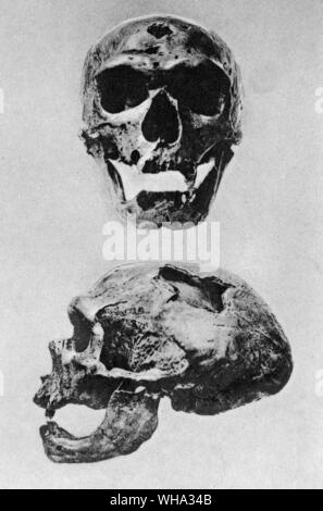 Fossil Man: Neanderthal skull (homo neanderthalensis) from Chapelle-aux-Saints, Correze, France. Stock Photo