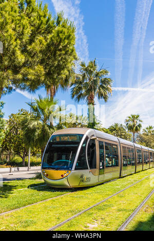 A tram in Nice, Alpes Maritimes, Cote d'Azur, French Riviera, Provence, France, Mediterranean, Europe Stock Photo
