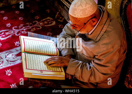 Macedonian Muslim reading the Koran, Pasha Mosque, the painted mosque of Tetovo, Republic of Macedonia, Europe