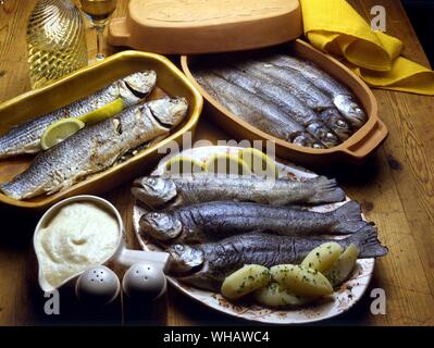 Italian Cooking By Robin Howe. . Top Left To Right.. Cefalo Ripieno.. Struffed grey Mullet.. . Torte In Mattone.. Trout In A Fish Brick.. . Bottom.. Trote Lessa All'aglio. Trout With Garlic Sauce. Stock Photo