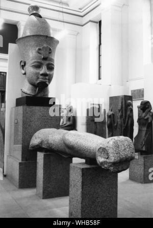 Head and arm in red granite of a colossal statue of Tuthensis III from Karnak - British Museum - Thutmose III (sometimes read as Thutmosis or Tuthmosis III and meaning Thoth is Born) was the sixth Pharaoh of the Eighteenth Dynasty. During the first 22 years of Thutmose's reign he was co-regent with his stepmother, Hatshepsut. While she is shown first on surviving monuments, both were assigned the usual royal names and insignia and neither is given any obvious seniority over the other. After her death and his subsequent gain of power over his kingdom, he created the largest empire Egypt had Stock Photo