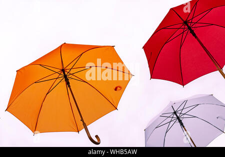 Three colorful umbrellas on a white background. Stock Photo
