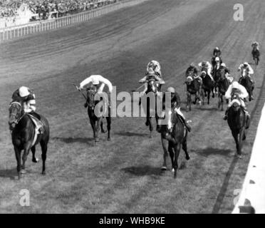 Derby victory for Sir Ivor, owned by Mr R R Guest, with Lester Piggott up , extreme left winning the 1968 Derby. second Connaught with A Barclay up , centre . and third Mount Athos with R Hutchinson up , right. 29 May 1968 Stock Photo