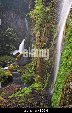 Spring volume of water pours over Wahclella Falls and this seasonal waterfall in Oregon’s Columbia River Gorge National Scenic Area. Stock Photo