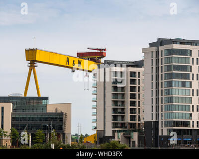 The giant Harland and Wolff Shipyard cranes tower over nearby buildings, Titanic Quarter, Belfast, Northern Ireland, UK Stock Photo