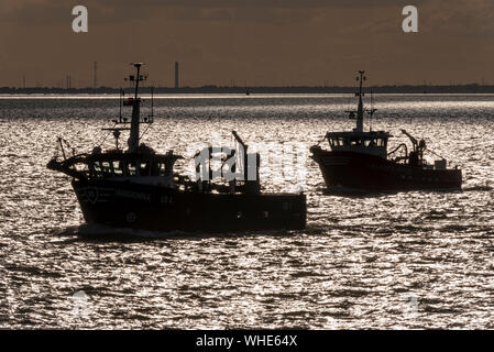 Fishing boats Indianna heading out to sea to fish late afternoon for the night out of Leigh on Sea passing Southend on the Thames Estuary. Industry Stock Photo
