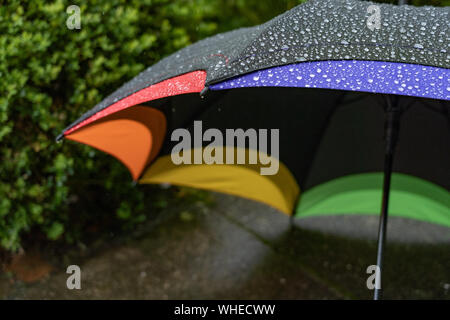 Umbrella with raindrops on the top lying on the floor in wet springtime. Stock Photo
