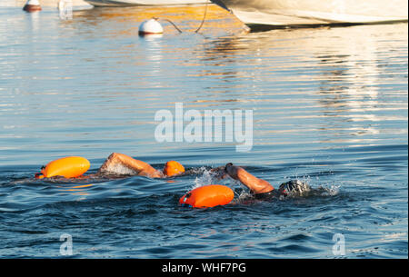 Two women are getting their morning exercise in swimming past moored boats while wearing orange safety buoys tied to their waist. Stock Photo