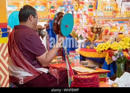 A Buddhist monk leads a puja service in a temple while ringing a bell & rotating a damaru drum. In Elmhurst, Queens, New York City. Stock Photo