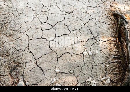 Dried cracked earth soil ground texture background. Mosaic pattern of sunny dried earth soil Stock Photo