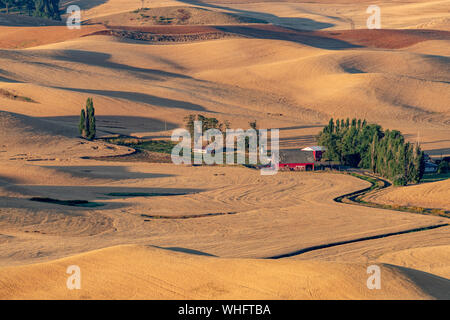 Red barn green trees and golden wheat in Eastern Washington Stock Photo