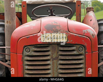 old red Massey Ferguson tractor at vintage vehicle show in Cumbria,England,UK Stock Photo