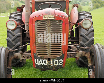 old red Massey Ferguson tractor at vintage vehicle show in Cumbria,England,UK Stock Photo