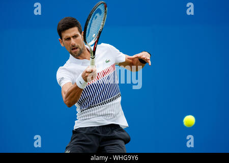 Novak Djokovic of Serbia in action playing single handed forehand against Daniil Medvedev of Russia. Aegon International 2017- Eastbourne - England - Stock Photo