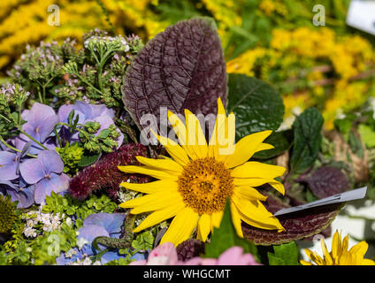 Floristic bouquet of flowers, herbs and fruits that are the symbol of summer Stock Photo