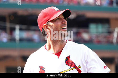 St Louis, USA. 02nd Sep, 2019. St. Louis Cardinals starting pitcher Adam Wainwright enjoys watching a video replay resulting in an out, ending the sixth inning against the San Francisco Giants, at Busch Stadium in St. Louis on Monday, September 2, 2019.   Photo by Bill Greenblatt/UPI Credit: UPI/Alamy Live News Stock Photo