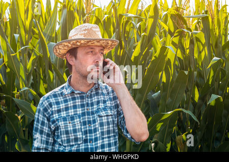 Corn farmer talking on mobile phone on crop plantation. Portrait of handsome male farm worker with plaid shirt and straw hat using smartphone for comm Stock Photo