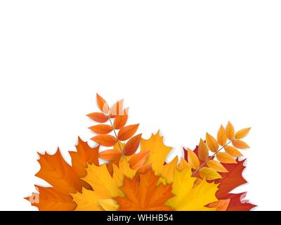 Bouquet of fallen autumn leaves Stock Vector