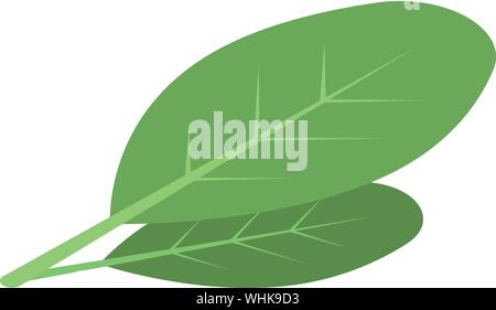 Cocoa leaf icon, isometric style Stock Vector
