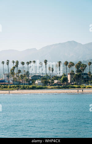 Palm trees on the beach, seen from Stearn's Wharf in Santa Barbara, California Stock Photo