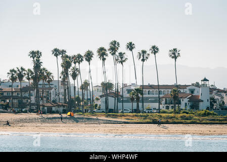 Palm trees on the beach, seen from Stearn's Wharf in Santa Barbara, California Stock Photo