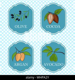 Set of natural ingredients and oils for beauty and cosmetics - packaging design templates and emblems - olive, avocado, cocoa and argan. Vector Stock Vector