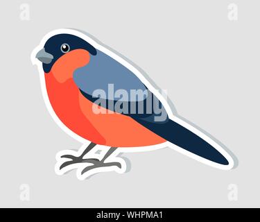 Sitting bullfinch isolated on white background. Christmas sticker. Winter icon. Vector illustration Stock Vector
