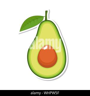 Avocado fruit. Isolated fruit on white background. Vector illustration. Stock Vector