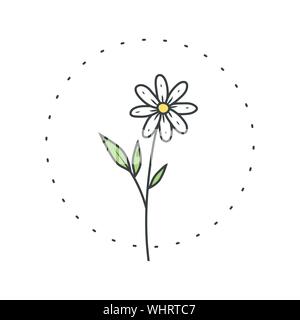 Chamomile flower. Logo for spa and beauty salon, boutique, organic shop, wedding, floral designer, interior, photography, cosmetic. Botanical floral Stock Vector