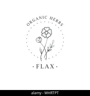 Flax flower. Logo for spa and beauty salon, boutique, organic shop, wedding, floral designer, interior, photography, cosmetic. Botanical floral Stock Vector