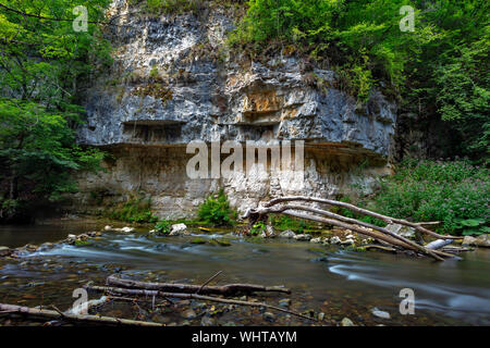 Wall of Muschelkalk, shellbearing limestone rock along the Wutach River in the Wutach Gorge Nature Reserve, Black Forest, Baden-Württemberg, Germany Stock Photo