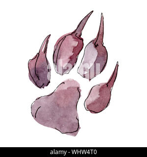 Rabbit hoof farm animal isolated. Watercolor background illustration ...