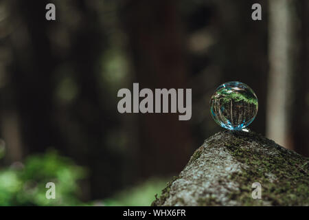 the concept of nature, green forest. Crystal ball on a wooden stump with leaves. Glass ball on a wooden stump covered with moss. Stock Photo