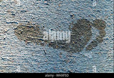 Barefoot walk. Wet footprints. Massage for stop. Tracks on concrete. Prints on the beach. Foot anatomy. Stock Photo