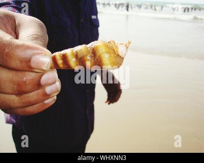 Midsection Of Man Holding Shell On Beach