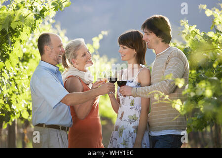 Two couples toasting wine glasses in vineyard Stock Photo