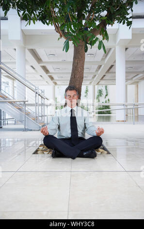 Businessman Meditating under Tree Stock Photo