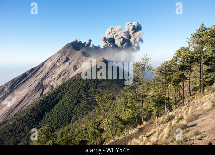 Fuego Volcano eruption seen from the slopes of Acatenango Volcano, Guatemala. Stock Photo