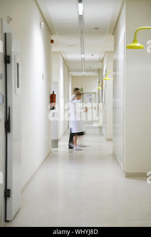 Full length side view of male and female scientists walking down hallway Stock Photo