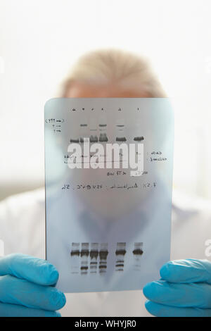 Closeup of a male scientist holding DNA test results in front of face Stock Photo