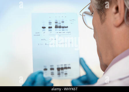 Closeup rear view of a cropped male scientist looking at DNA test results Stock Photo
