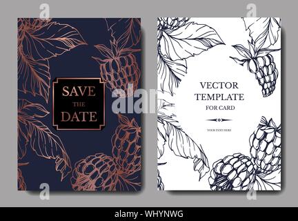 Vector Raspberry healthy food isolated. Black and white engraved ink art. Wedding background card decorative border. Stock Vector